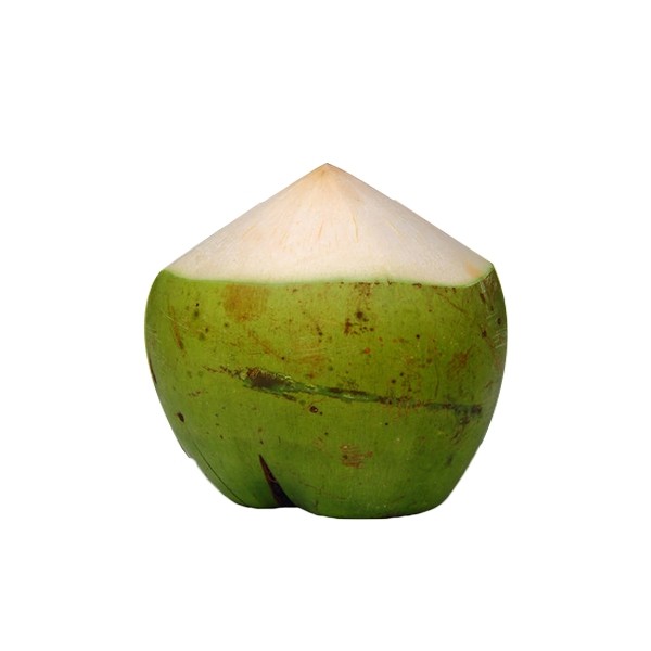 Kelapa Muda